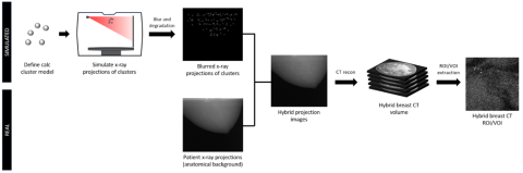 hybrid simulation method
